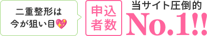 申込者数当サイト圧倒的No.1